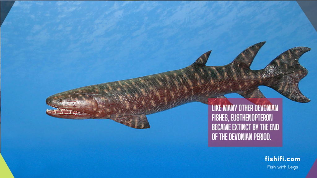 5 Popular Extinct Fish With Legs