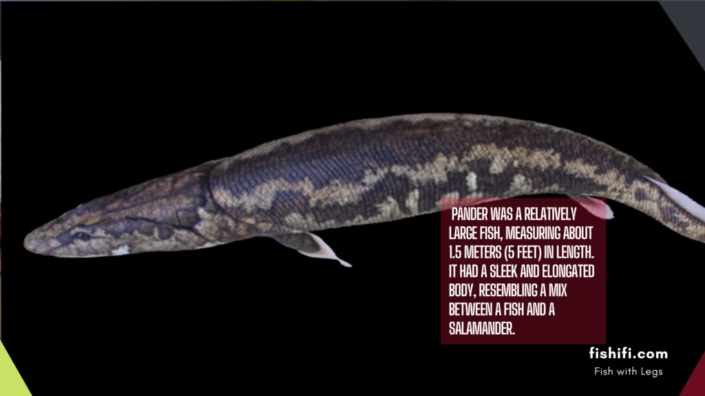 5 Popular Extinct Fish With Legs