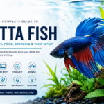 betta fish