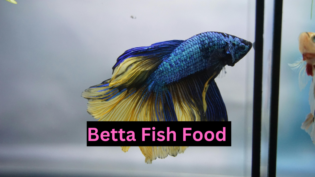 Betta Fish Food