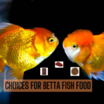 Betta Fish Food