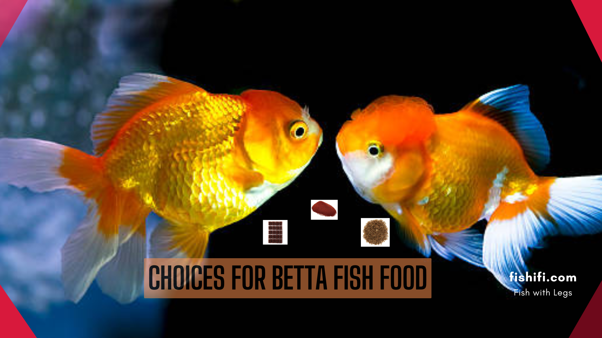 Betta Fish Food